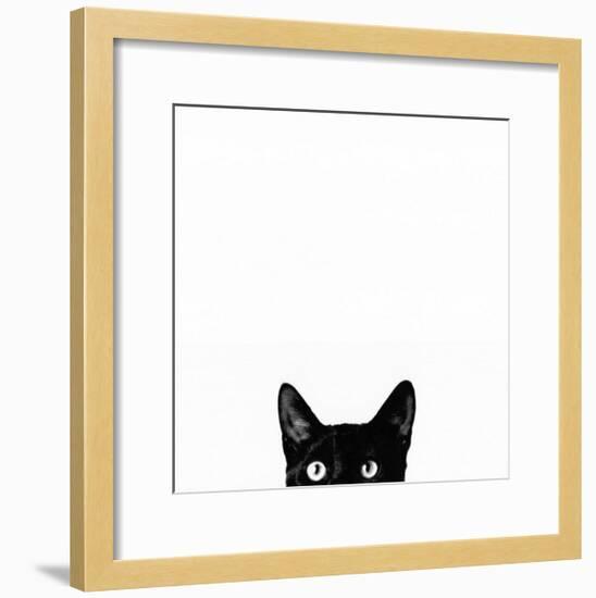 Curiosity-Jon Bertelli-Framed Art Print