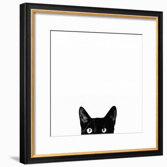 Curiosity-Jon Bertelli-Framed Art Print