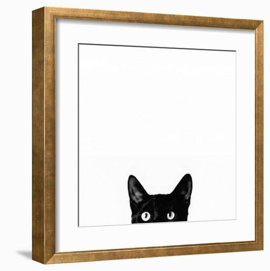 Curiosity-Jon Bertelli-Framed Art Print