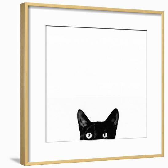 Curiosity-Jon Bertelli-Framed Art Print