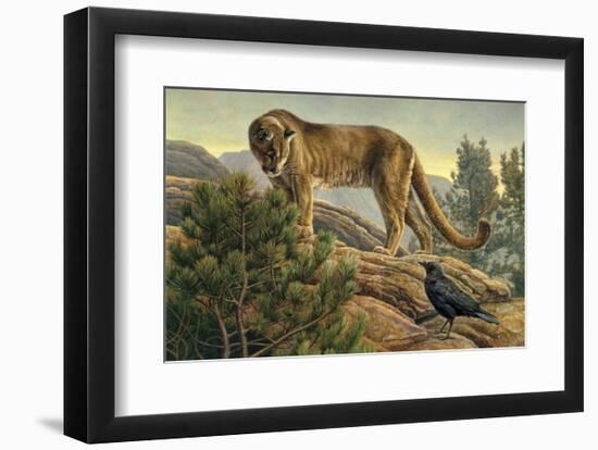 Curiosity-Kalon Baughan-Framed Art Print