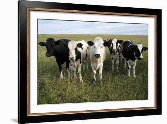 Curiosity-Bill Coleman-Framed Giclee Print