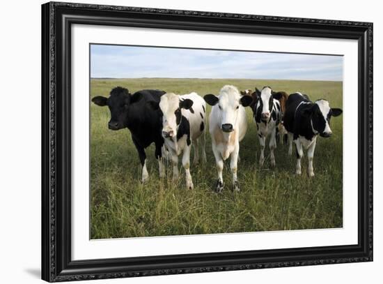 Curiosity-Bill Coleman-Framed Giclee Print