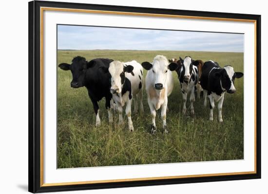 Curiosity-Bill Coleman-Framed Giclee Print