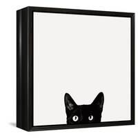 Curiosity-Jon Bertelli-Framed Stretched Canvas