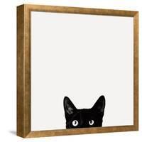 Curiosity-Jon Bertelli-Framed Stretched Canvas