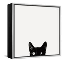 Curiosity-Jon Bertelli-Framed Stretched Canvas