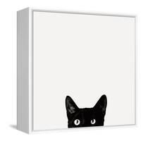 Curiosity-Jon Bertelli-Framed Stretched Canvas