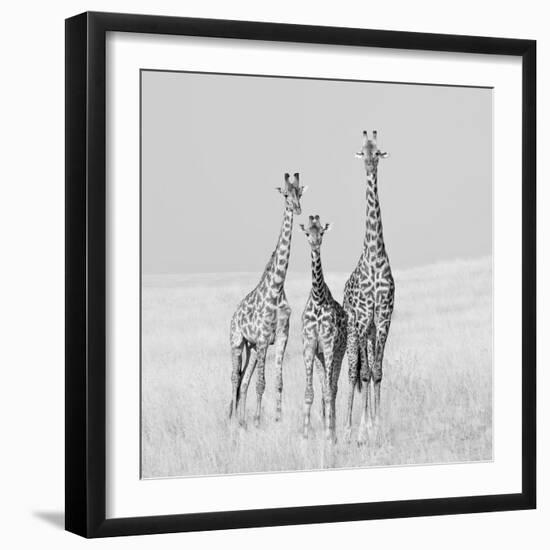 Curiosity-James Cai-Framed Photographic Print