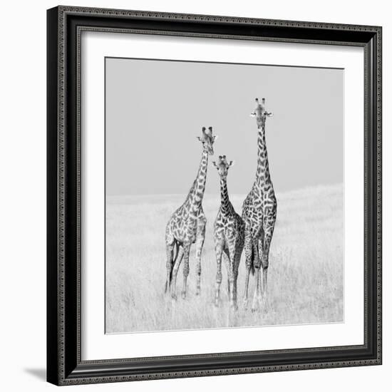 Curiosity-James Cai-Framed Photographic Print