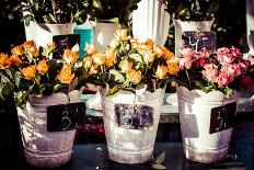 Colorful Flowers in A Flower Shop on A Market-Curioso Travel Photography-Photographic Print