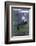 Curious Antarctica Fur Seal Pups (Arctocephalus Gazella), Polar Regions-Michael Nolan-Framed Photographic Print