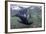 Curious Antarctica Fur Seal Pups (Arctocephalus Gazella), Polar Regions-Michael Nolan-Framed Photographic Print