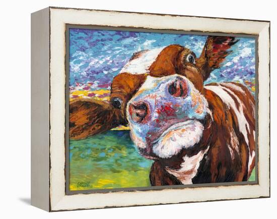 Curious Cow I-Carolee Vitaletti-Framed Stretched Canvas