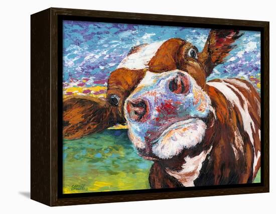 Curious Cow I-Carolee Vitaletti-Framed Stretched Canvas