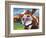 Curious Cow I-Carolee Vitaletti-Framed Premium Giclee Print