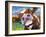 Curious Cow I-Carolee Vitaletti-Framed Art Print