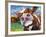 Curious Cow I-Carolee Vitaletti-Framed Art Print