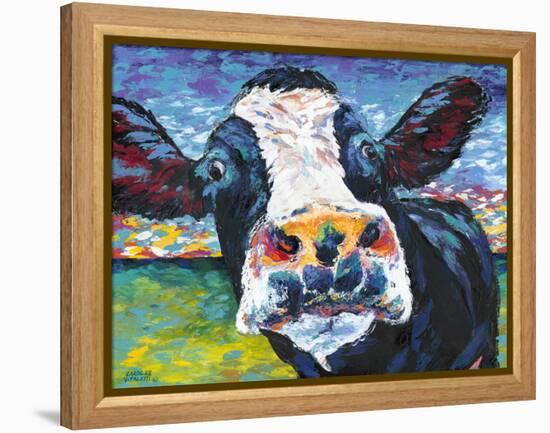 Curious Cow II-Carolee Vitaletti-Framed Stretched Canvas