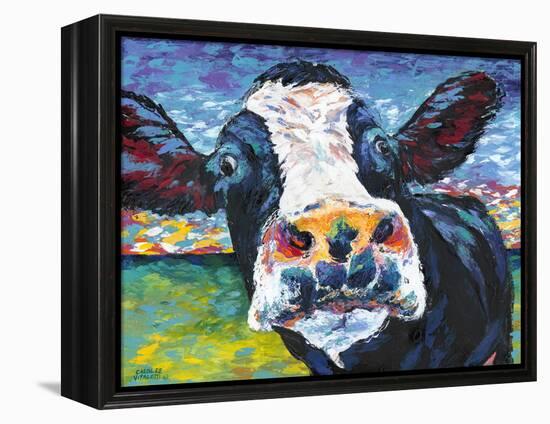 Curious Cow II-Carolee Vitaletti-Framed Stretched Canvas