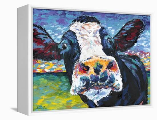 Curious Cow II-Carolee Vitaletti-Framed Stretched Canvas