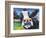 Curious Cow II-Carolee Vitaletti-Framed Premium Giclee Print