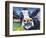 Curious Cow II-Carolee Vitaletti-Framed Premium Giclee Print