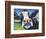 Curious Cow II-Carolee Vitaletti-Framed Premium Giclee Print