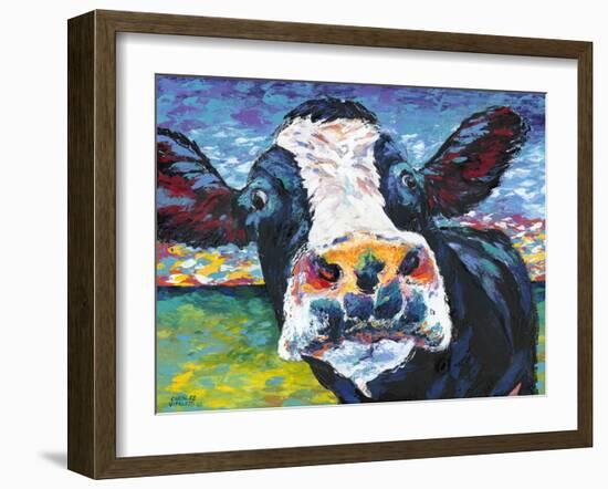 Curious Cow II-Carolee Vitaletti-Framed Art Print