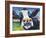 Curious Cow II-Carolee Vitaletti-Framed Art Print