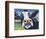 Curious Cow II-Carolee Vitaletti-Framed Art Print