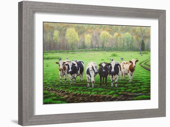 Curious Cows-Bruce Dumas-Framed Giclee Print