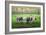 Curious Cows-Bruce Dumas-Framed Giclee Print