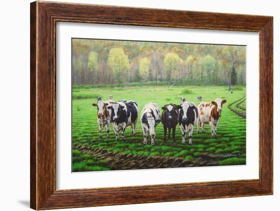 Curious Cows-Bruce Dumas-Framed Giclee Print