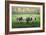 Curious Cows-Bruce Dumas-Framed Giclee Print