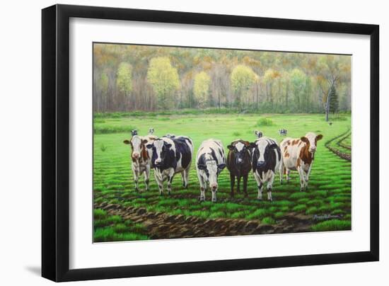 Curious Cows-Bruce Dumas-Framed Giclee Print