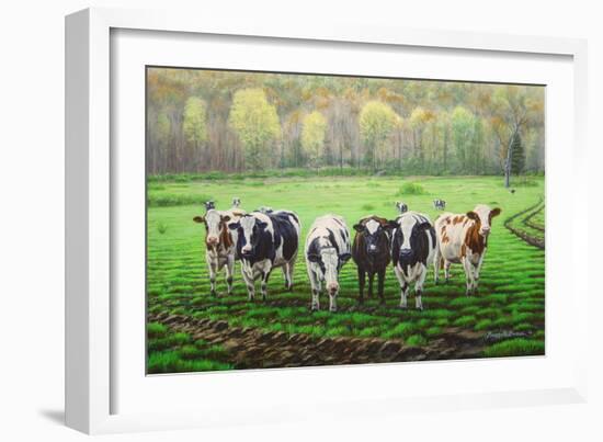 Curious Cows-Bruce Dumas-Framed Giclee Print