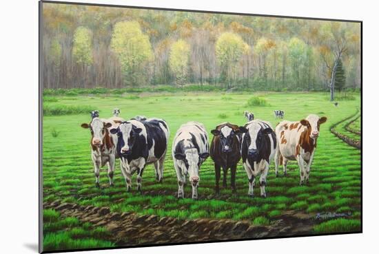 Curious Cows-Bruce Dumas-Mounted Giclee Print