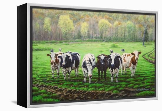 Curious Cows-Bruce Dumas-Framed Premier Image Canvas