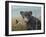 Curious Cub-Robert Wavra-Framed Giclee Print