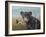 Curious Cub-Robert Wavra-Framed Giclee Print