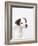 Curious Jack Russell Terrier Puppy-Lew Robertson-Framed Photographic Print