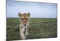 Premium Photographic Print