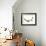 Curious Otter, 2003-Mark Adlington-Framed Giclee Print displayed on a wall