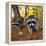 Curious Raccoons-Steve Terrill-Framed Premier Image Canvas