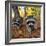 Curious Raccoons-Steve Terrill-Framed Photographic Print