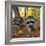 Curious Raccoons-Steve Terrill-Framed Photographic Print