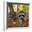 Curious Raccoons-Steve Terrill-Framed Photographic Print