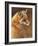 Curious: Red Fox-Joni Johnson-godsy-Framed Art Print