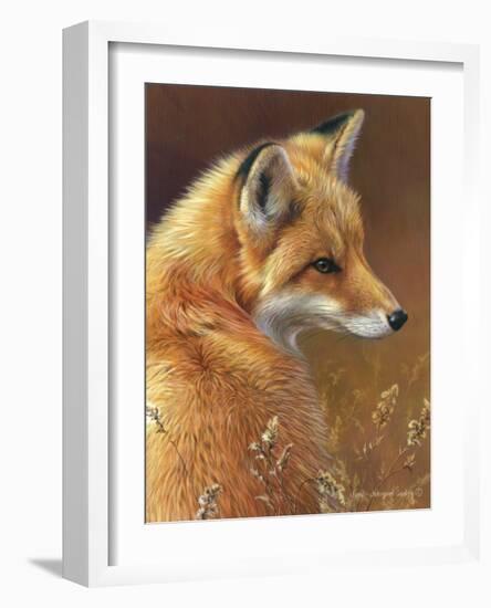 Curious: Red Fox-Joni Johnson-godsy-Framed Art Print